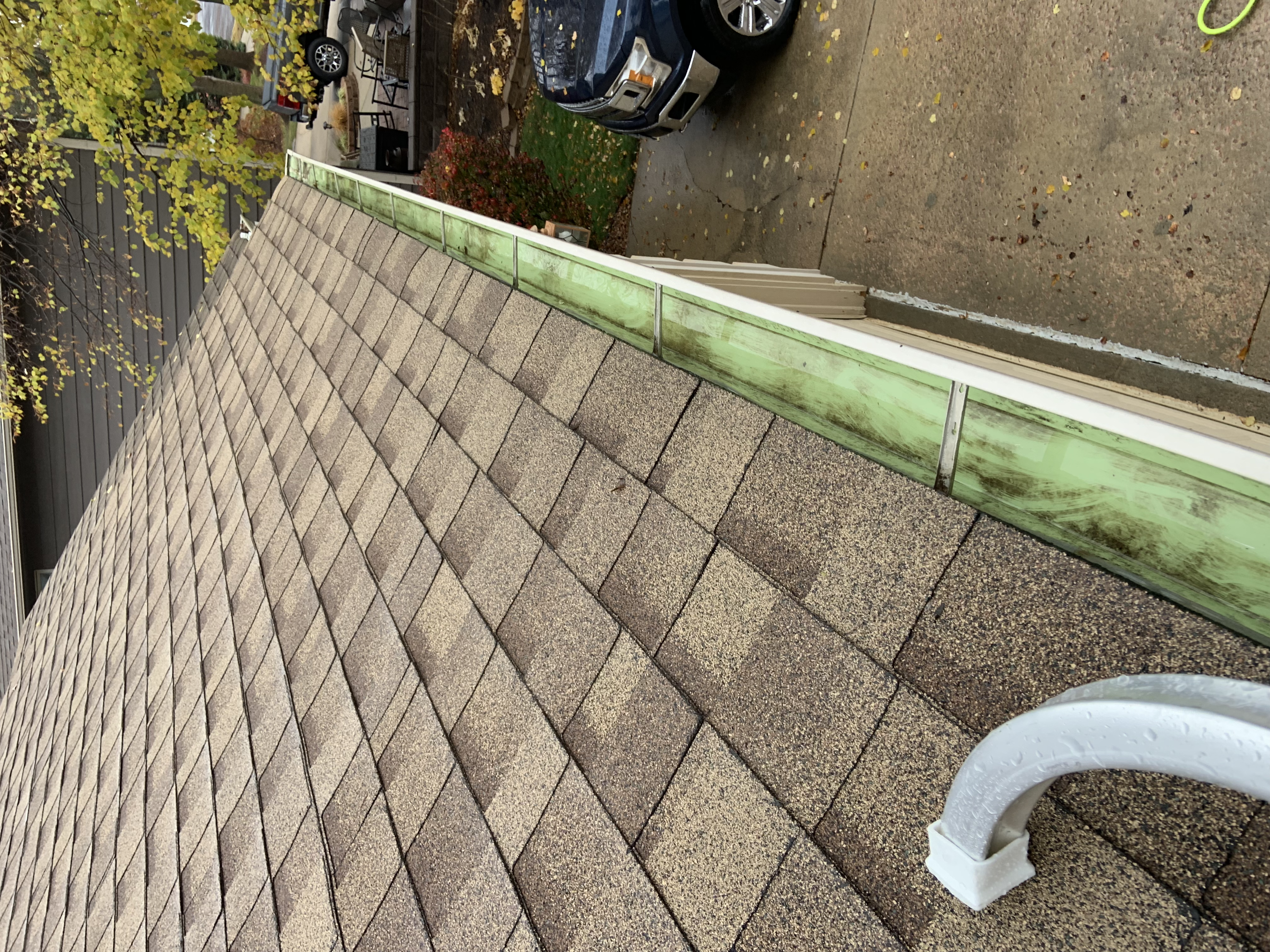 Gutter Cleaning